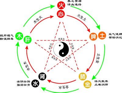 属虎五行属什么|属虎五行分别是什么属性